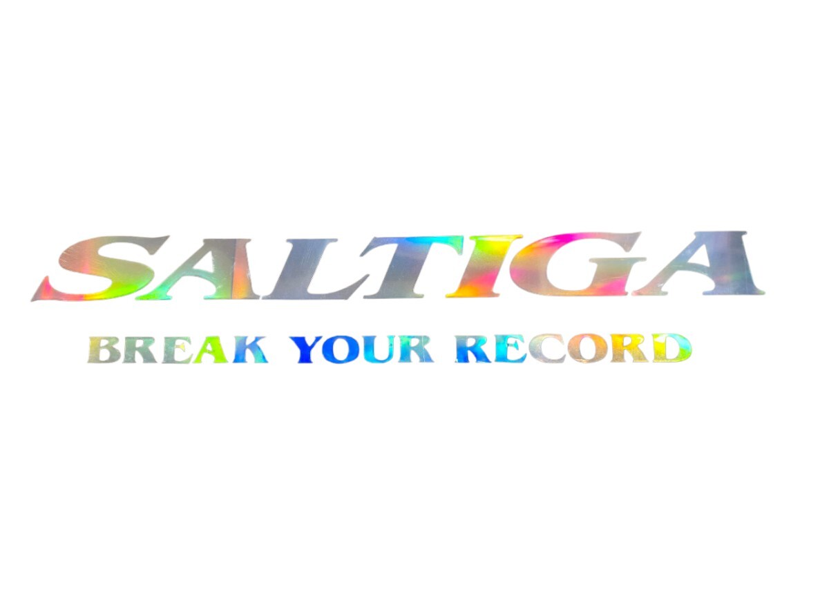 【送料無料!!】SALTIGA ホログラムステッカー デカール ソルティガ 20cm拍卖