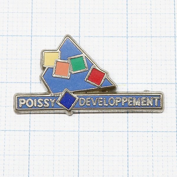 DKG P3466★ PINS ピンズ ピンバッチ ピンバッジ ピンバッヂ POISSY ポワシー DEVELOPPEMENT 開発拍卖