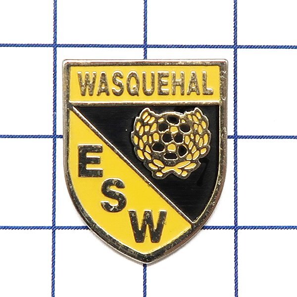 DKG★ PINS ピンズ ピンバッチ ピンバッジ ピンバッヂ P2681 Entente Sportive de WASQUEHAL ESW ワスケハル ワスケアル サッカークラブ拍卖