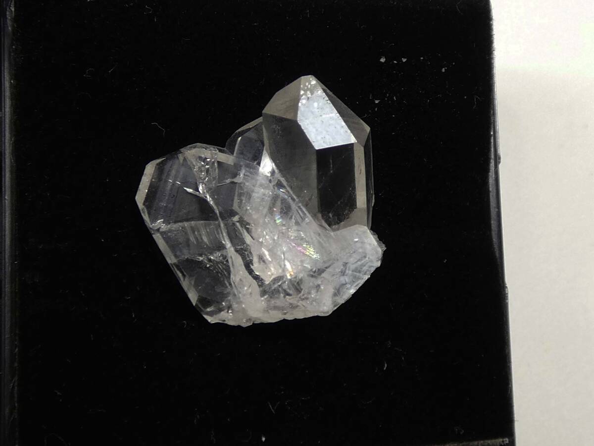 国産鉱物 奈留島の日本式双晶 ピカピカ拍卖