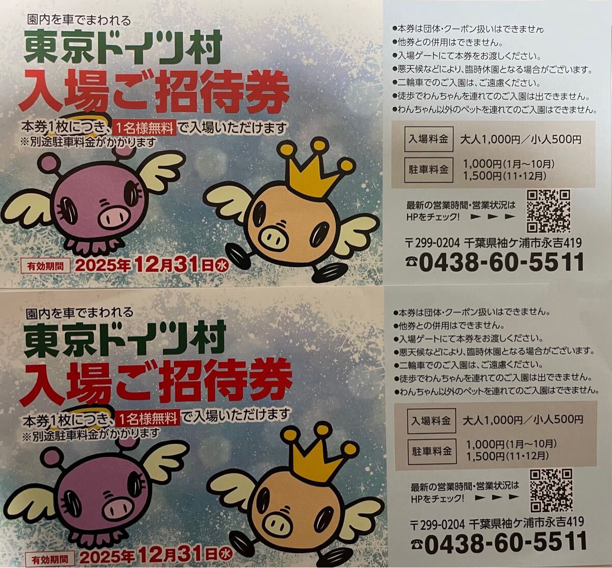 2枚 東京ドイツ村 入園ご招待券入場ご優待券 招待券一枚で駐車料金1000円のお支払いで招待券一枚で1名入園料無料 イルミネーション拍卖