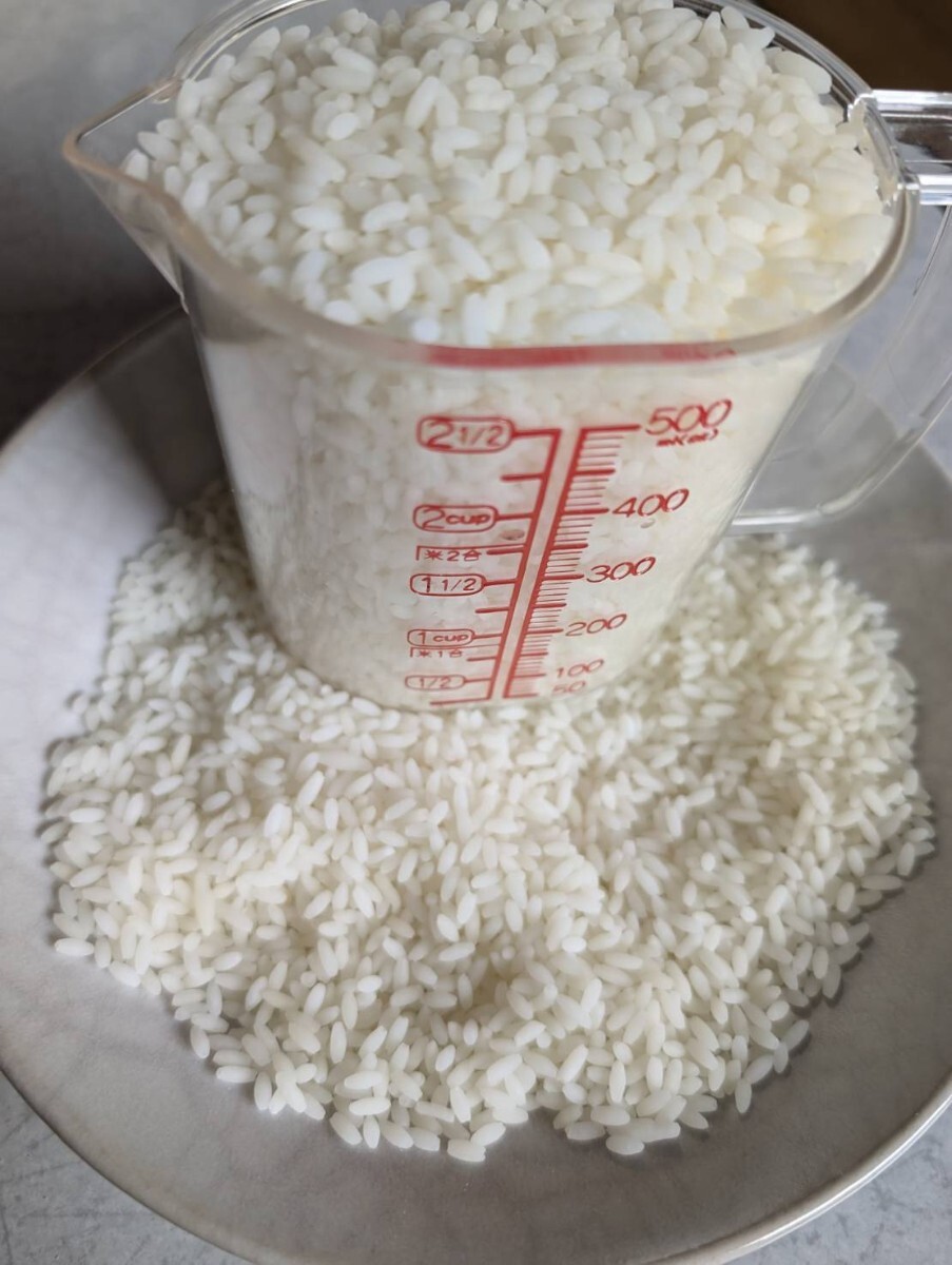 【まいづる食品サンブル】お米 米 100g 1111円 F-42 F-43拍卖