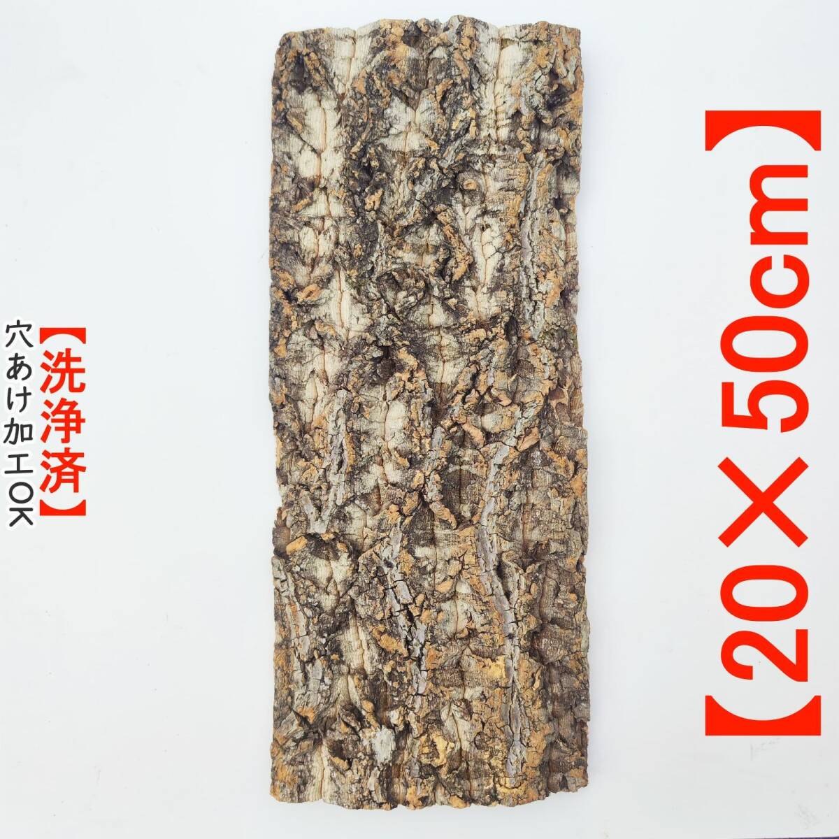 c2006【20×50cm】コルク樹皮 コルク板 バージンコルク 送料/穴あけ無料 チランジア ビカクシダ 着生ラン 両生類 爬虫類 コウモリラン拍卖