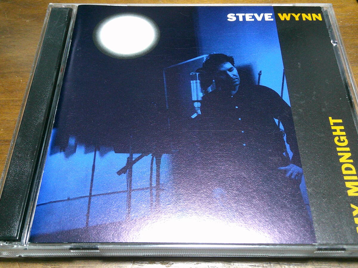 STEVE WYNN《My Midnight》★ドリーム・シンジケート拍卖