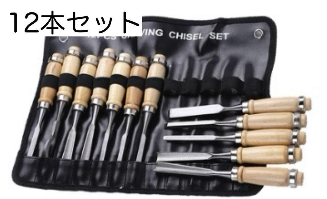 【在庫限り】新品 彫刻刀 12本セット ノミ のみ 木彫り 彫刻 版画 DIY 工具 大工工具拍卖