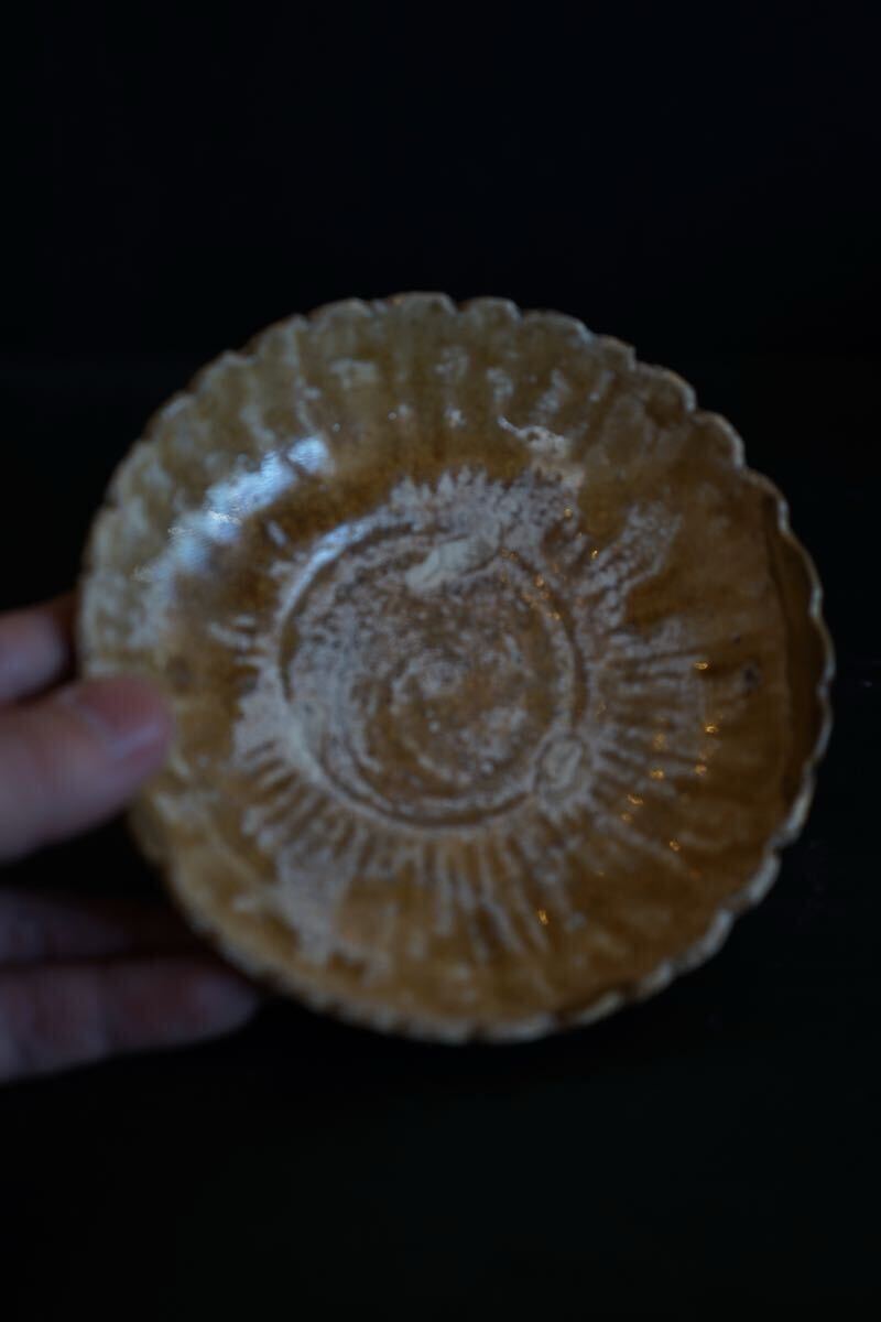 【発掘特集】桃山-江戸初期 美濃 見事な黄瀬戸あがりの灰釉菊皿 発掘品 堀の手 陶片拍卖