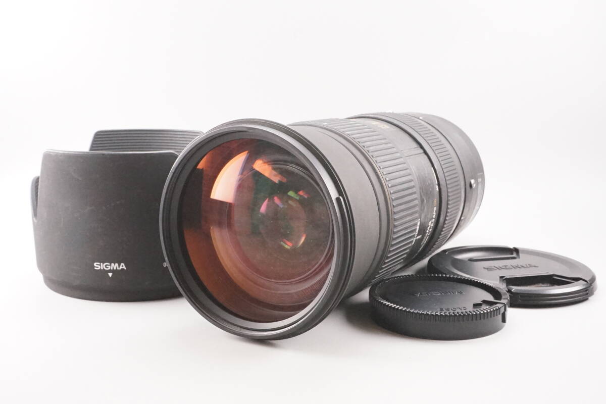★実用品★ SIGMA シグマ APO 50-500mm F4-6.3 EX DG SONY ソニー ミノルタ Aマウント用拍卖