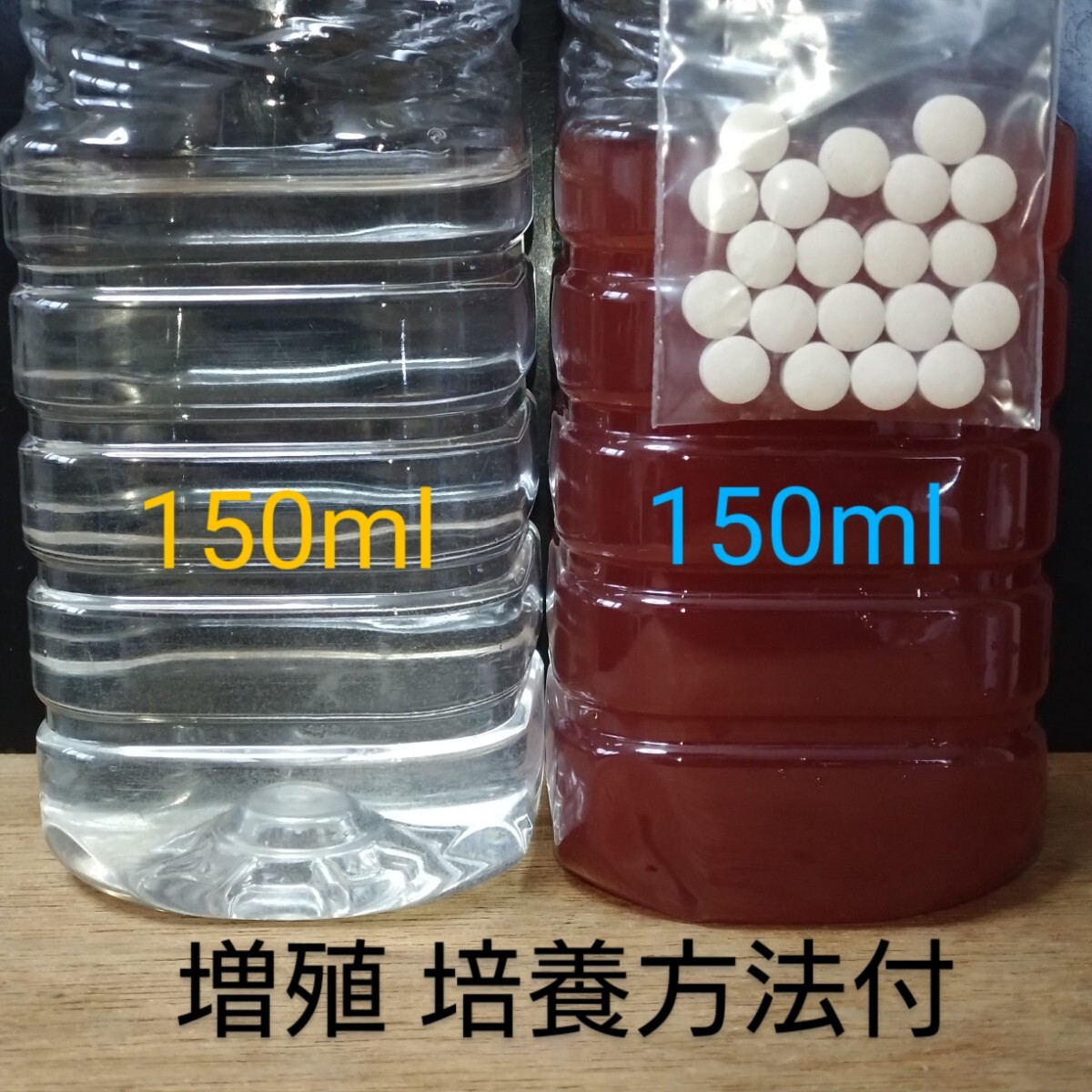 祝期間限定セール ゾウリムシ 150mlと 濃縮 PSB 150mlと餌のビール酵母20錠のW培養セット メダカ 針子 熱帯魚 金魚 錦鯉 培養方法付 金拍卖