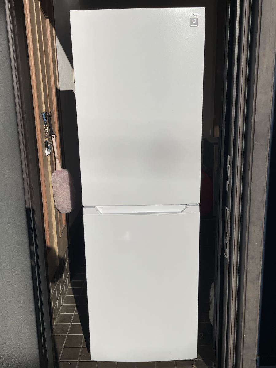 SHARP ノンフロン冷凍冷蔵庫 SJ-BD23P プラズマクラスター 大容量冷凍庫87L 説明書付き 2024年製拍卖