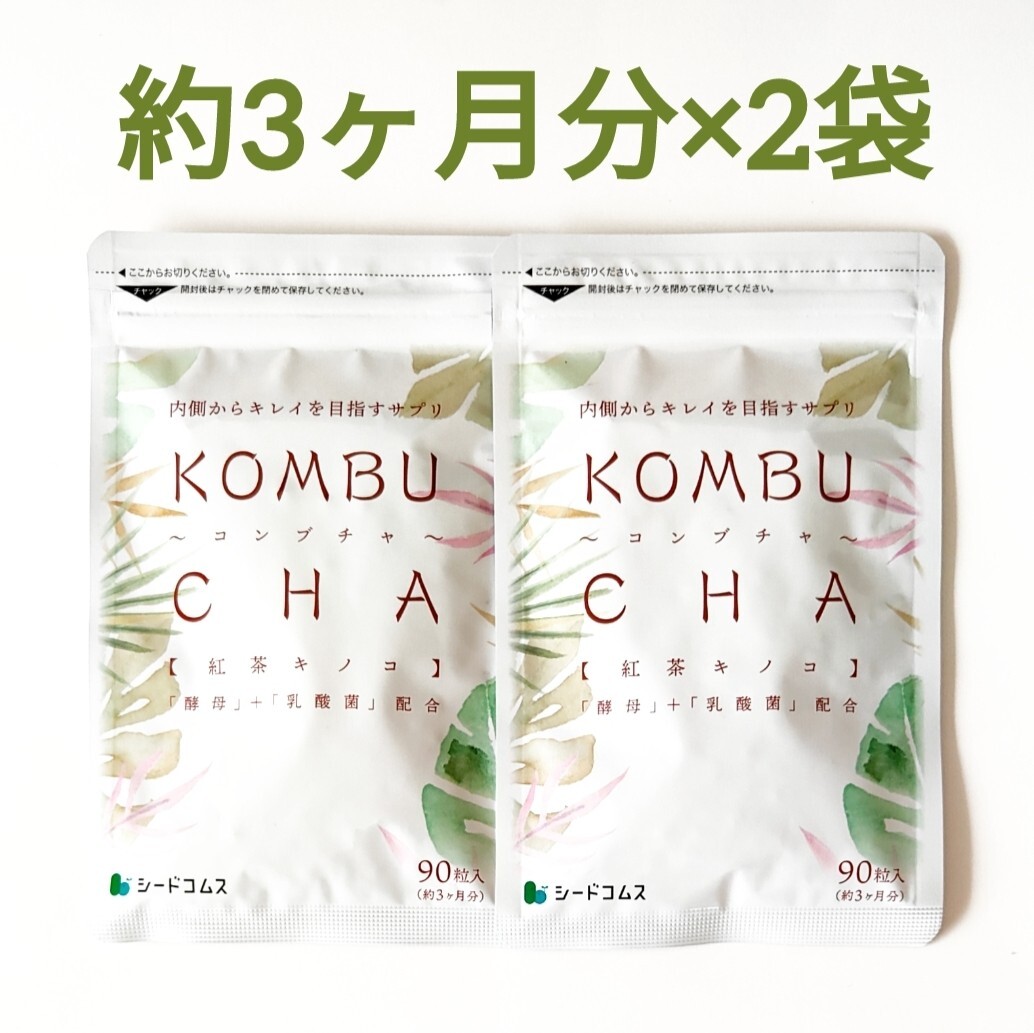 約6ヶ月分 コンブチャ KOMBUCHA サプリメント 酵素 シードコムス拍卖