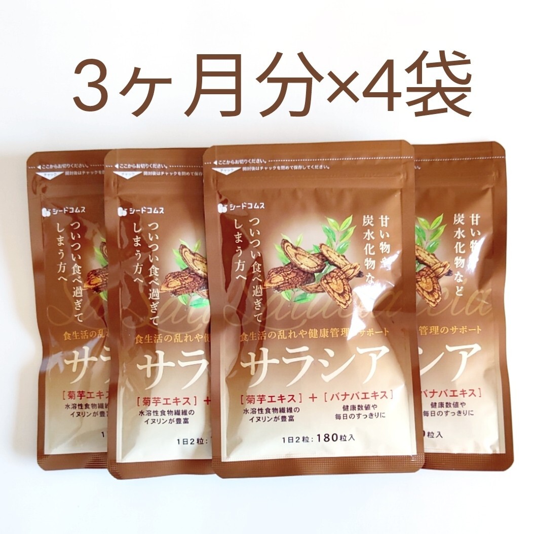 約12ヶ月分 サラシア 菊芋エキス バナバエキス ダイエット サプリメント拍卖