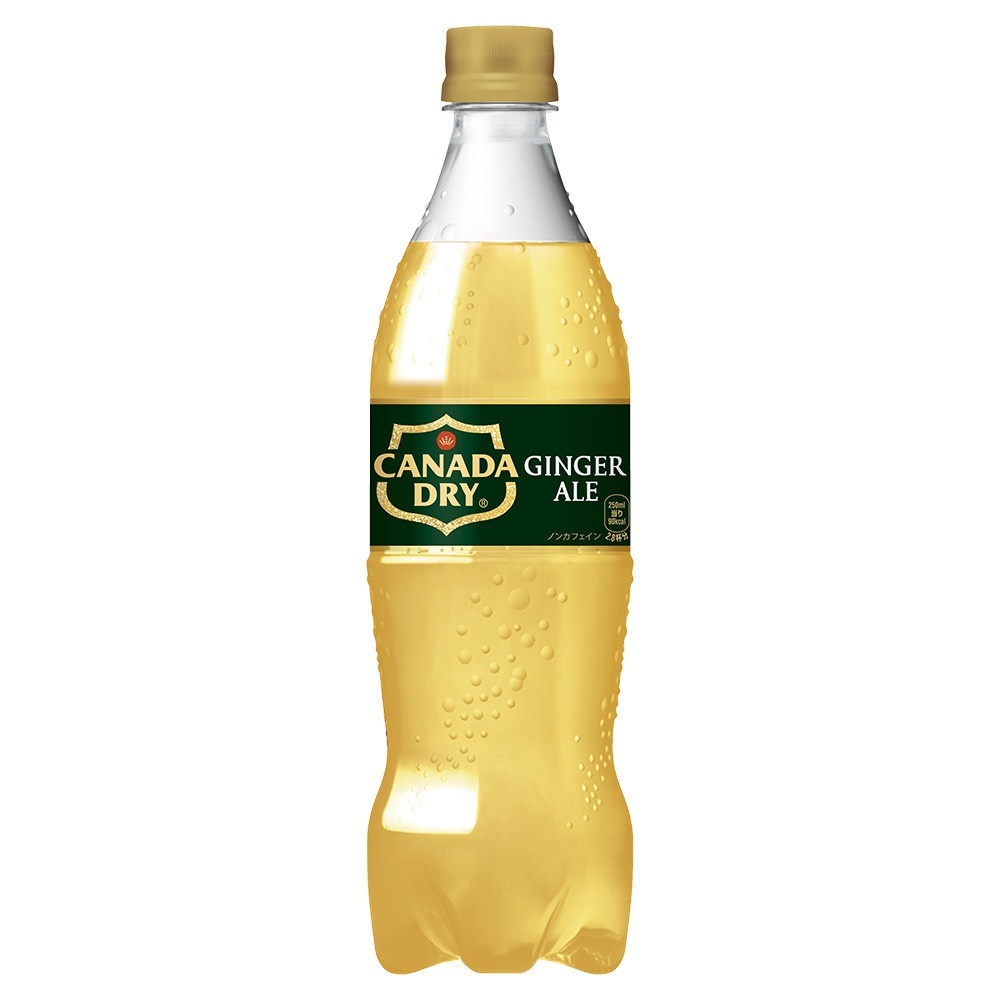 カナダドライ ジンジャーエール PET 700ml 20本 (20本×1ケース) PET ペットボトル 炭酸飲料 ginger ale コカコーラ社拍卖