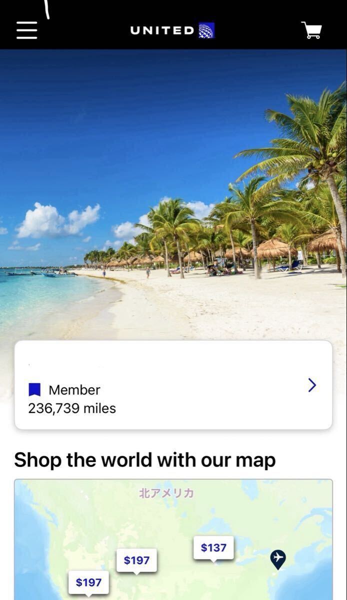 ユナイテッド航空 マイル  マイレージプラス 特典航空券 23万マイル 譲渡拍卖