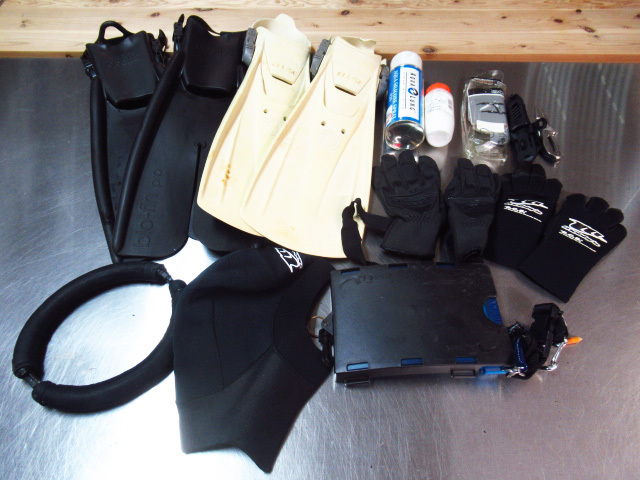 ダイビングまとめ フィン グローブ キャップ 重り 水中ノート ナイフ シリコンスプレー 管理7S1006J-H4拍卖