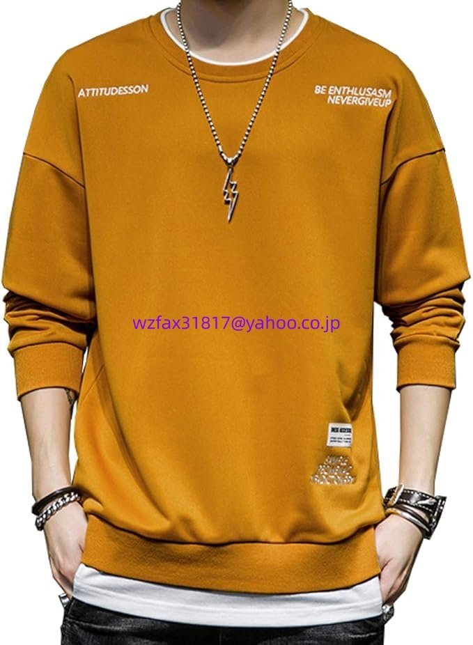 メンズ スウェット 2025年 秋冬 新作 ゆったり ラウンドネック プルオーバー 長袖 カジュアル拍卖