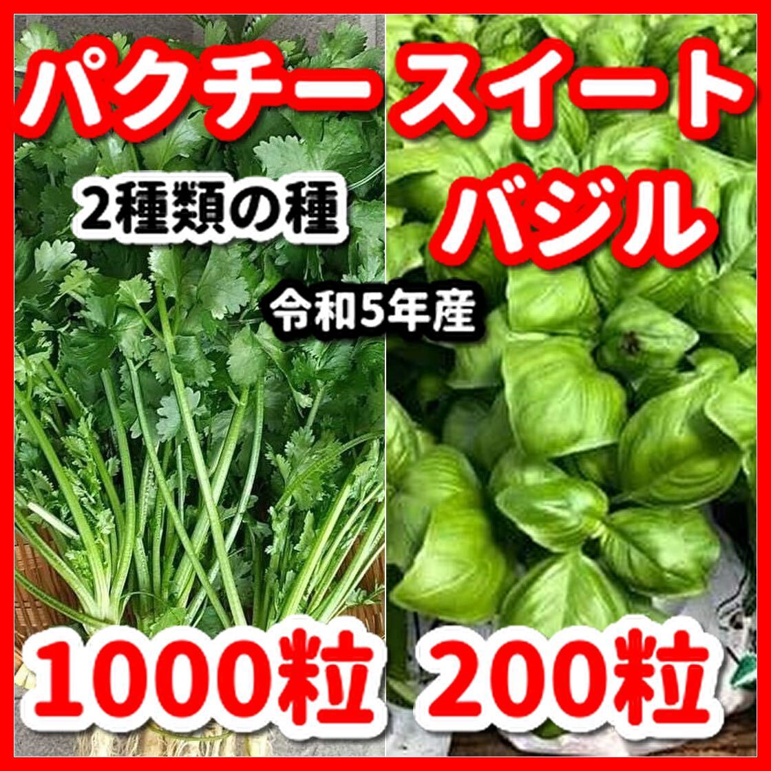 スイートバジル&パクチー(大粒タイプ)の種セット★令和6年産★増量サービス中拍卖