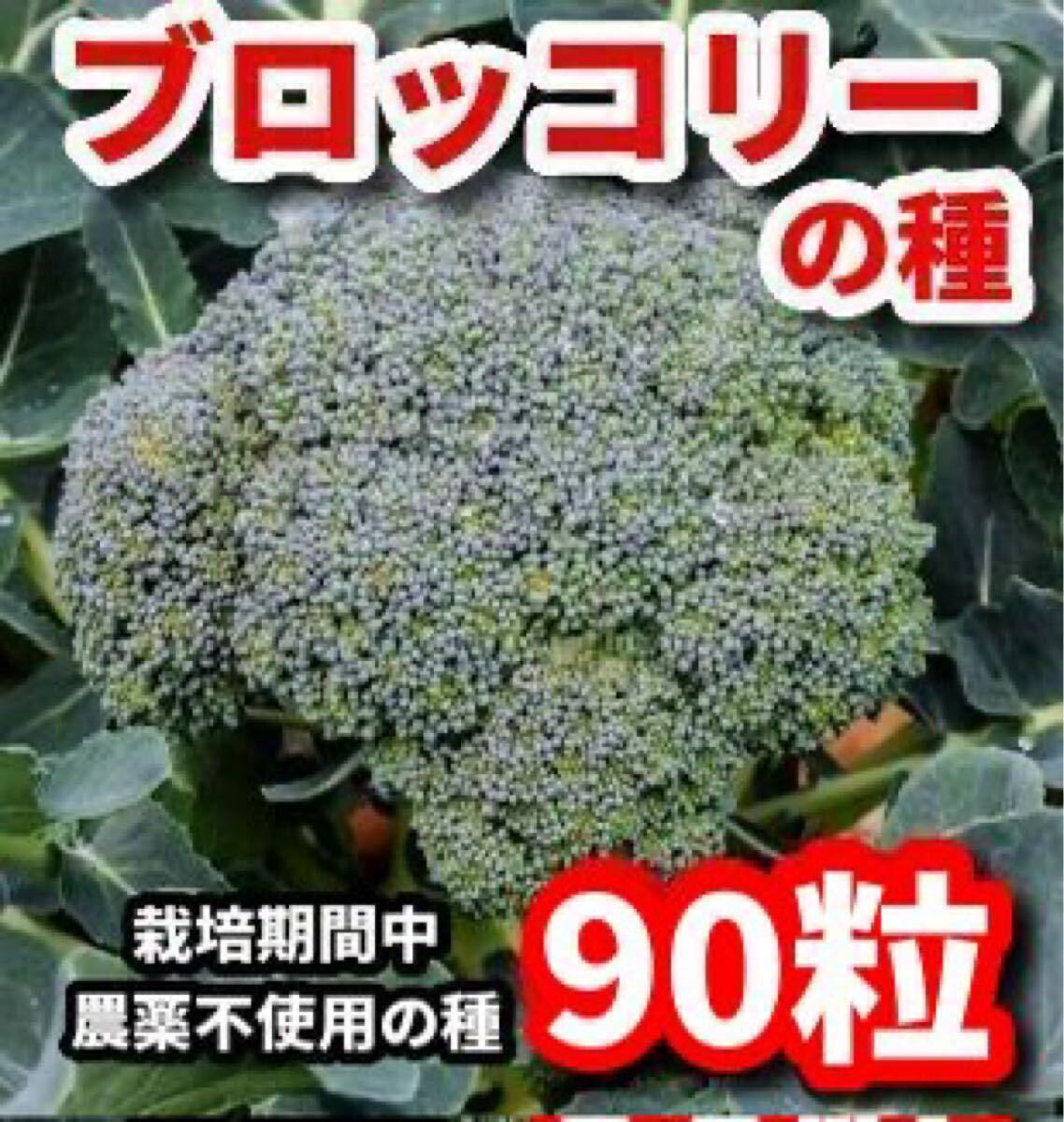ブロッコリーの種【90粒】★栽培期間中農薬不使用の種拍卖