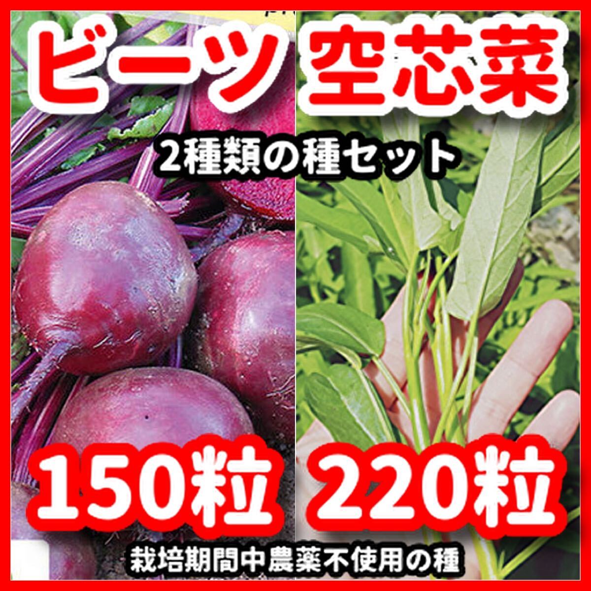 空芯菜&ビーツ2種類の種セット★栽培期間中農薬不使用の種★令和6年11月産拍卖