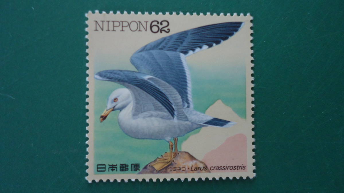 水辺の鳥シリーズ ウミネコ拍卖