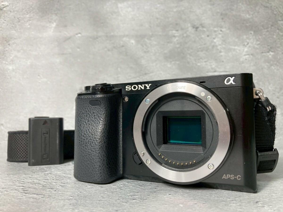 SONY ソニー α6000 ボディ ミラーレス一眼カメラ #17拍卖
