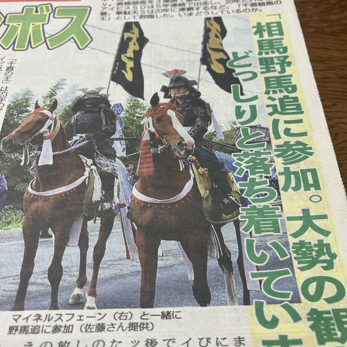 ライオンボス、2019アイビスSD【あの馬は今/ライオンボス】相馬野馬追 説明参照BKHY拍卖