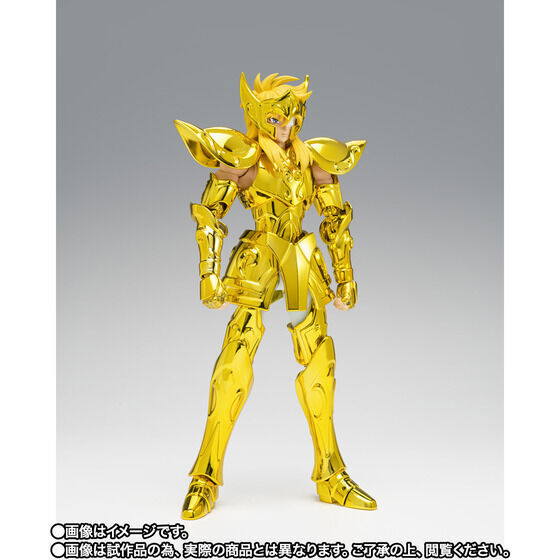 聖闘士聖衣神話EX アクエリアス氷河-黄金聖衣の継承者- 聖闘士星矢 Bandai 【輸送箱新品未開封】拍卖