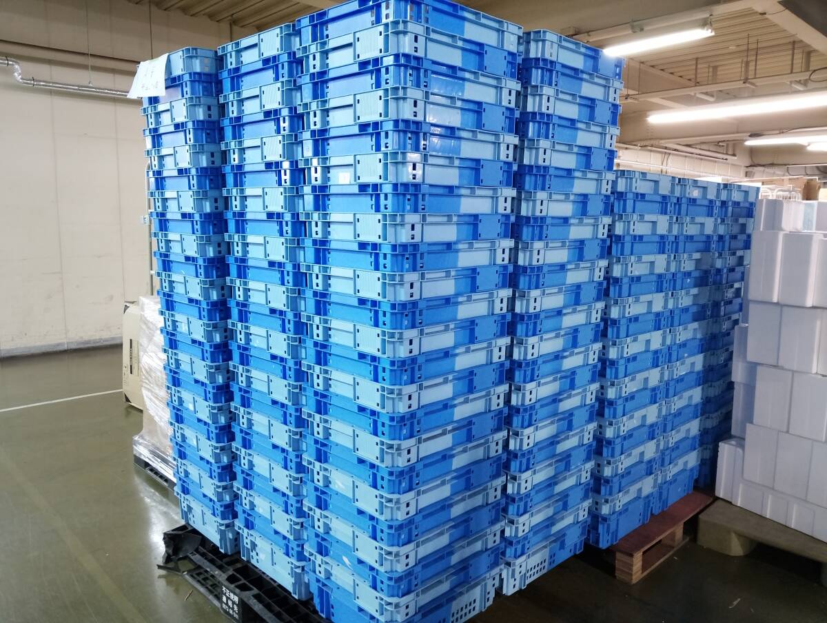30個 サンコー SNコンテナー C#24 F 23.1L @330円!!コンテナボックス青 まとめて売ります! 果実・野菜の採集・集荷・選果 管理YN248AF拍卖