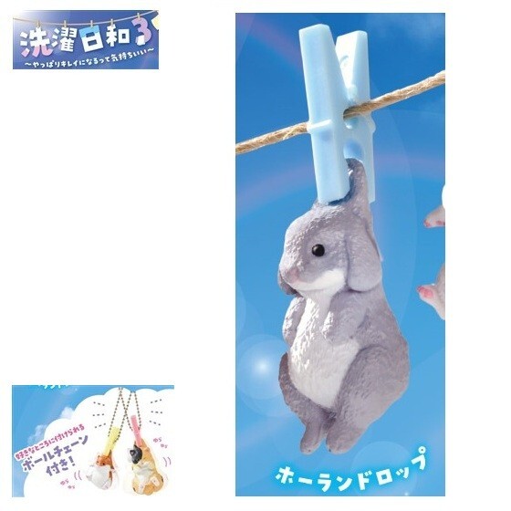洗濯日和3「ホーランドロップ」 / エール ◇ 動物フィギュア ガチャ ガチャポン カプセルトイ ウサギ拍卖