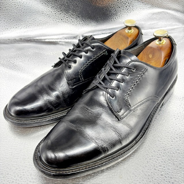 ★REGAL リーガル★レザーシューズ/25.0EE/カジュアルシューズ/ビジネスシューズ/革靴/黒拍卖