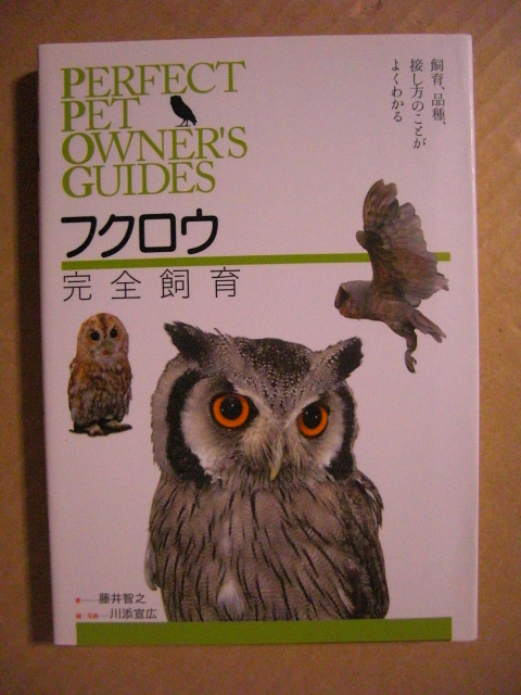 ★飼育、品種、接し方のことがよくわかる◇パーフェクト・ペット・オーナーズ・ガイド【フクロウ 完全飼育】★拍卖