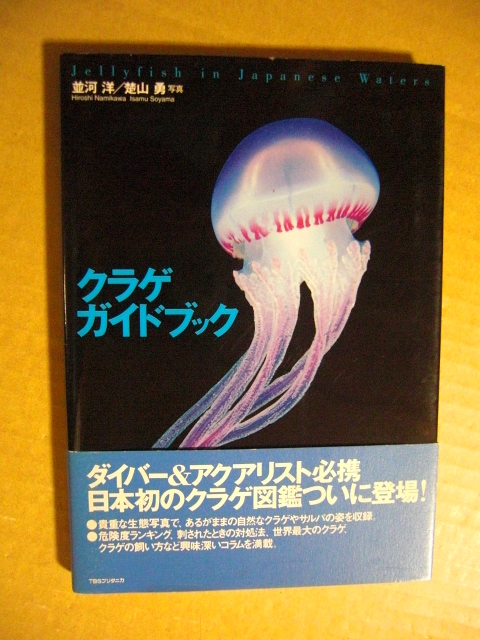 ★ダイバー&アクアリスト必携/日本初のクラゲ図鑑【クラゲ ガイドブック】Jellyfish in Japanese Waters★拍卖