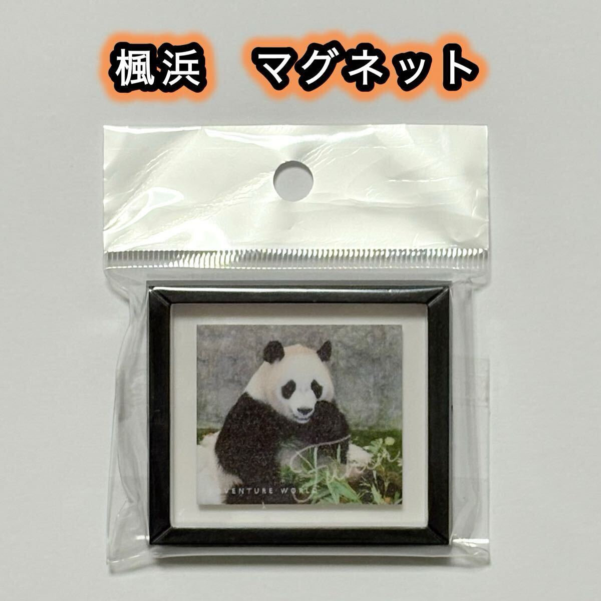 【少し訳あり】楓浜 フレームマグネット アドベンチャーワールド/浜家 ジャイアントパンダ パンダファミリー拍卖