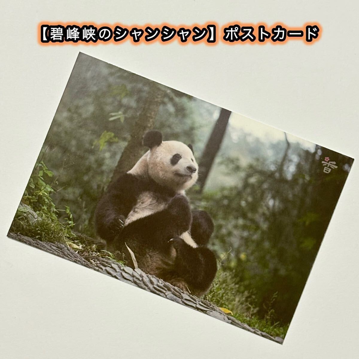 【碧峰峡のシャンシャン】ポストカード 7歳誕生日 数量限定 販売終了/ジャイアントパンダ 香香 中国雅安碧峰峡基地 7歳誕生日記念 ①拍卖