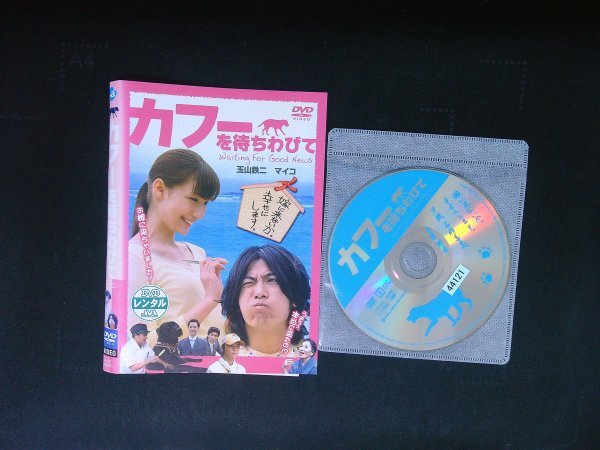 カフーを待ちわびて  DVD 玉山鉄二 マイコ 即決 送料200円 1012拍卖