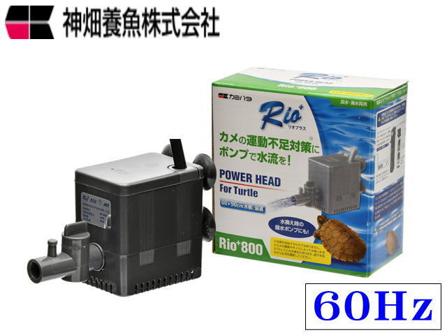 カミハタ Rio+800 リオプラスタートル 800 60Hz専用 水棲ガメ 水中ポンプ 送料無料 管理60拍卖