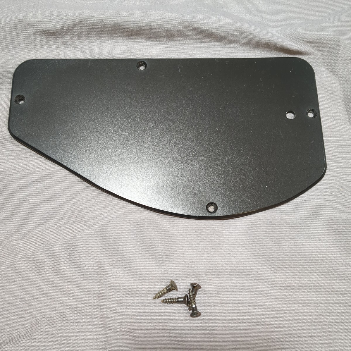 FERNANDES フェルナンデス コントロール バック パネル サスティナー用拍卖