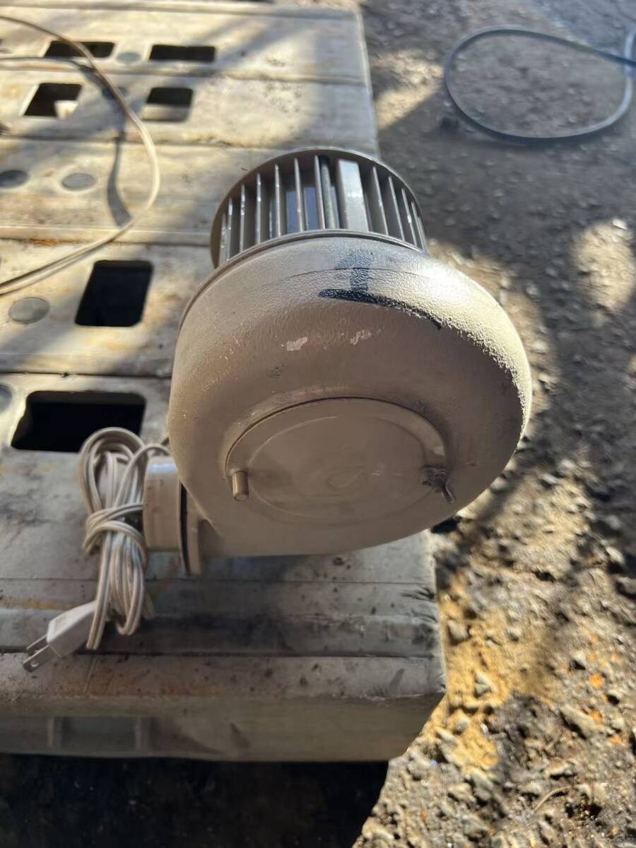 秋田発(昭和電機) 送風機 SF-50-L3A3 汎用シリーズ シロッコ 0.04kW 単相100V 50/60Hz対応 ファン ブロア 業務用 排気 換気 送風機 ①拍卖