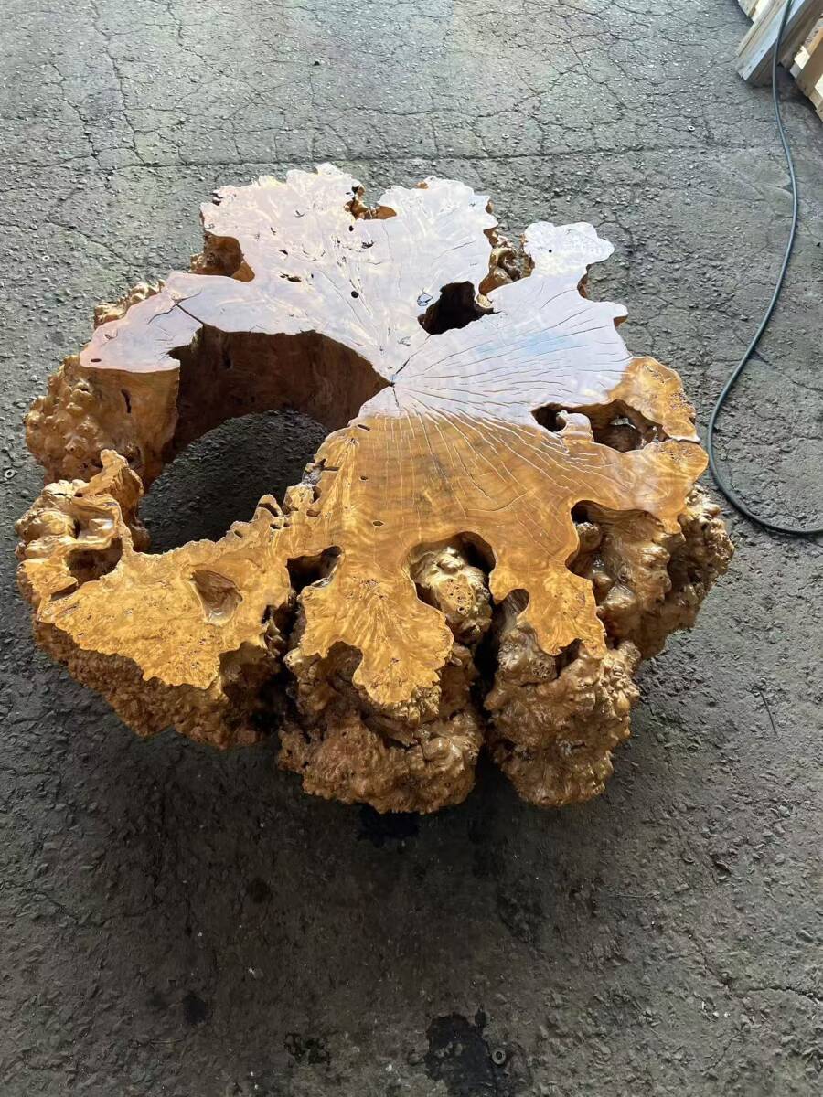 秋田発  花梨 瘤 コブ 瘤杢 輪切り 一枚板 天然木 座卓テーブル センターテーブル リビングテーブ 130㎝×130cm厚み約27cm拍卖