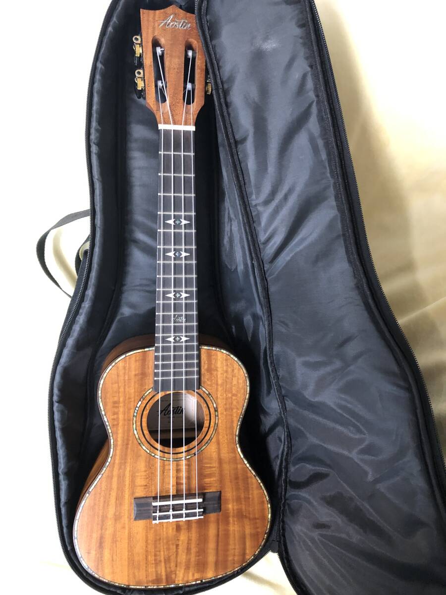 ★美品★送料無料★ゴージャス★ハワイアンコア素敵な音色★スロテッドヘッド★オースティンコンサートウクレレ★AC100拍卖