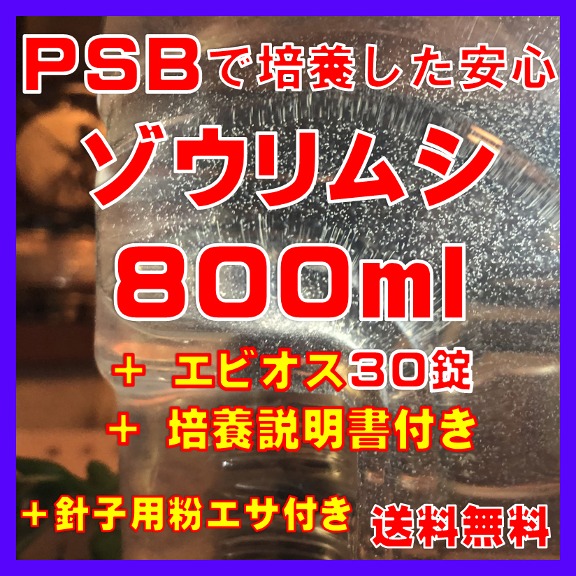 ★送料無料★PSBで培養したゾウリムシ種水800ml+エビオス30錠+培養説明書+針子用粉エサ。拍卖