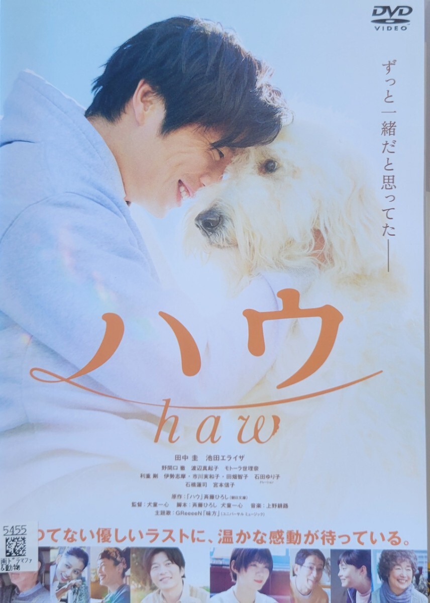 中古DVD ハウ拍卖