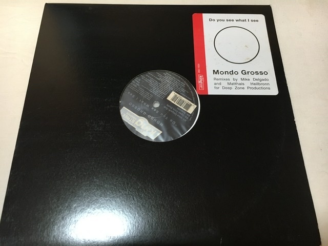 MONDO GROSSO DO YOU SEE WHAT I SEE 12inch モンドグロッソ拍卖