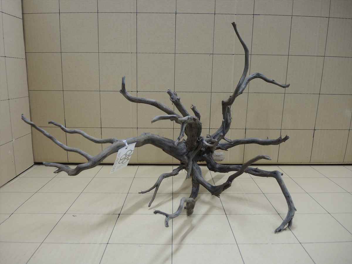 *iwoya*黒枝流木8001拍卖