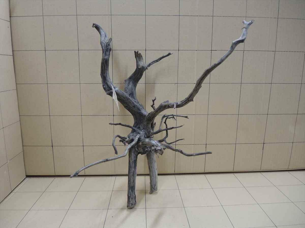 *iwoya*黒枝流木8004拍卖