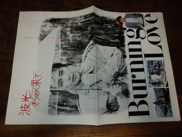 映画プレスシート「c1554 波光きらめく果て(折れ有り)」松坂慶子 渡瀬恒彦 大竹しのぶ拍卖