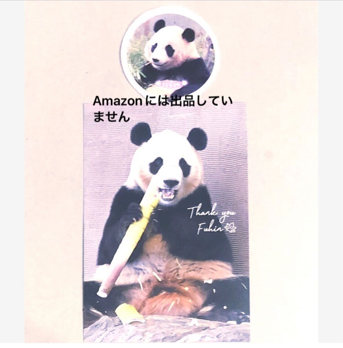 ☆非売品☆JAL×アドベンチャーワールド 楓浜ポストカード 付属シール ジャイアントパンダ拍卖