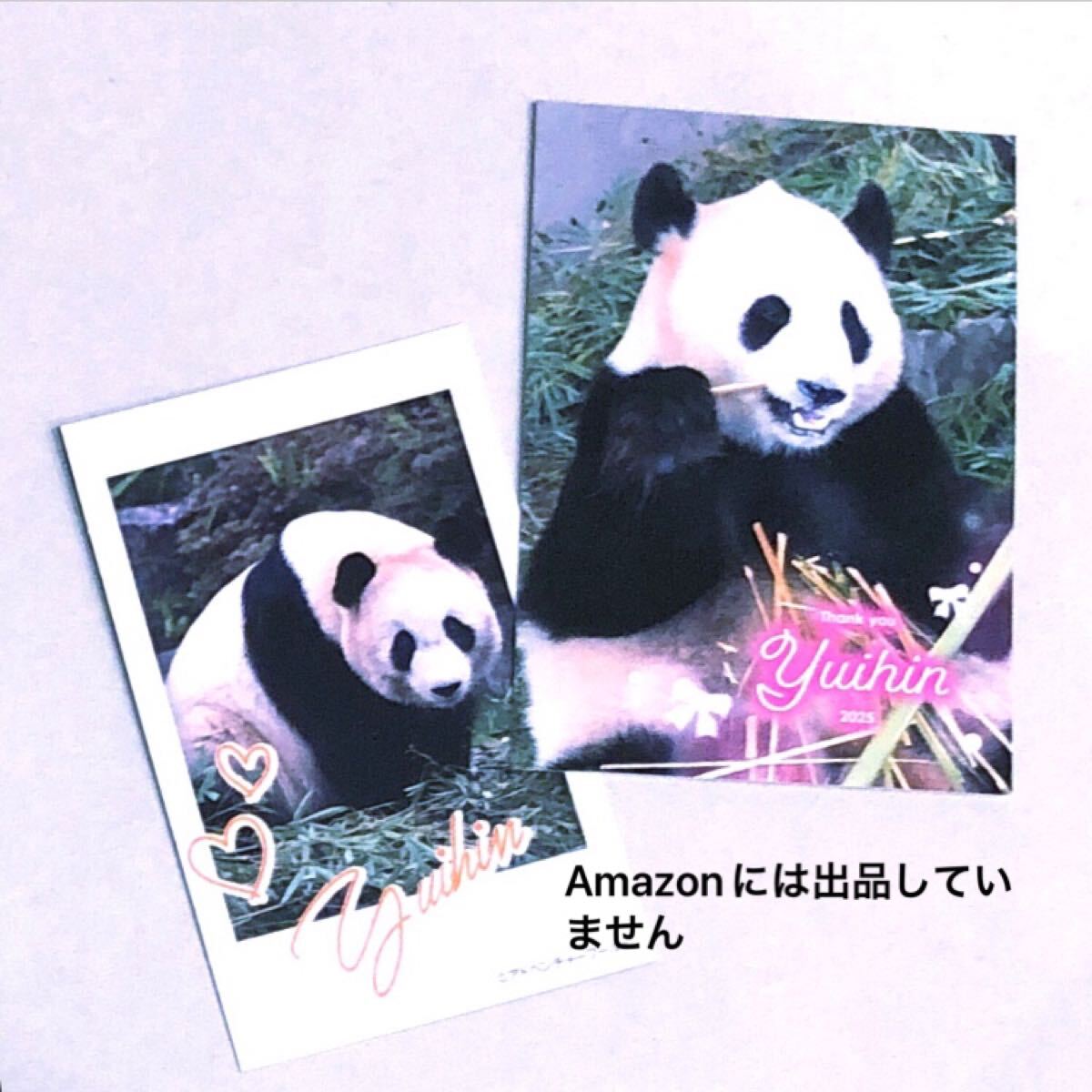 ☆ノベルティ☆結浜フォト風カード チェキ 付属カード アドベンチャーワールド ジャイアントパンダ拍卖