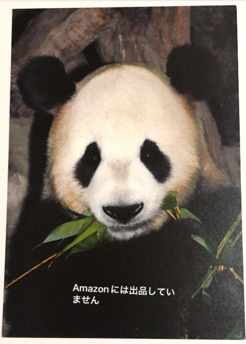 レア☆公式 上野動物園 2011年 リーリー来園ポストカード ジャイアントパンダ 力力 比力 シャンシャン拍卖
