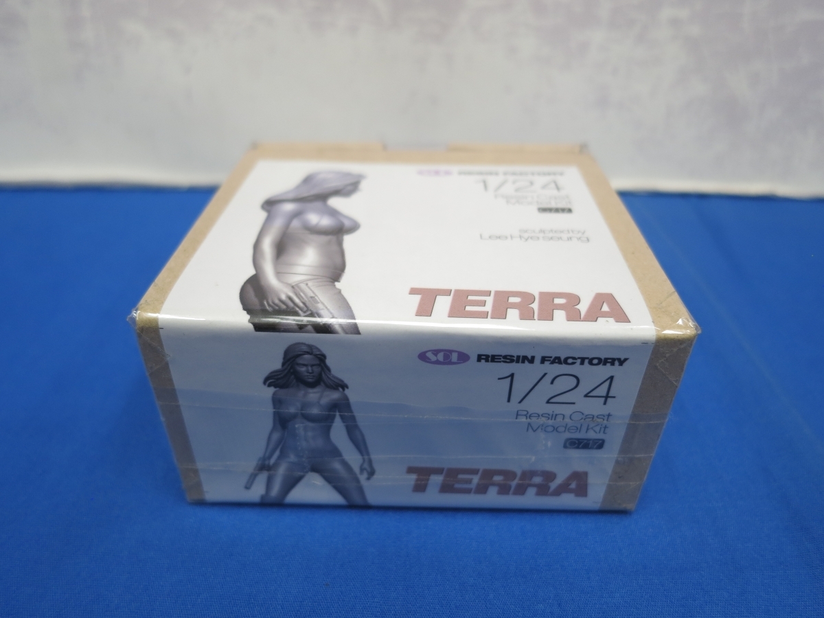 A13 1/24 立ちはだかるテラ SOL MODEL (ソルモデル)拍卖