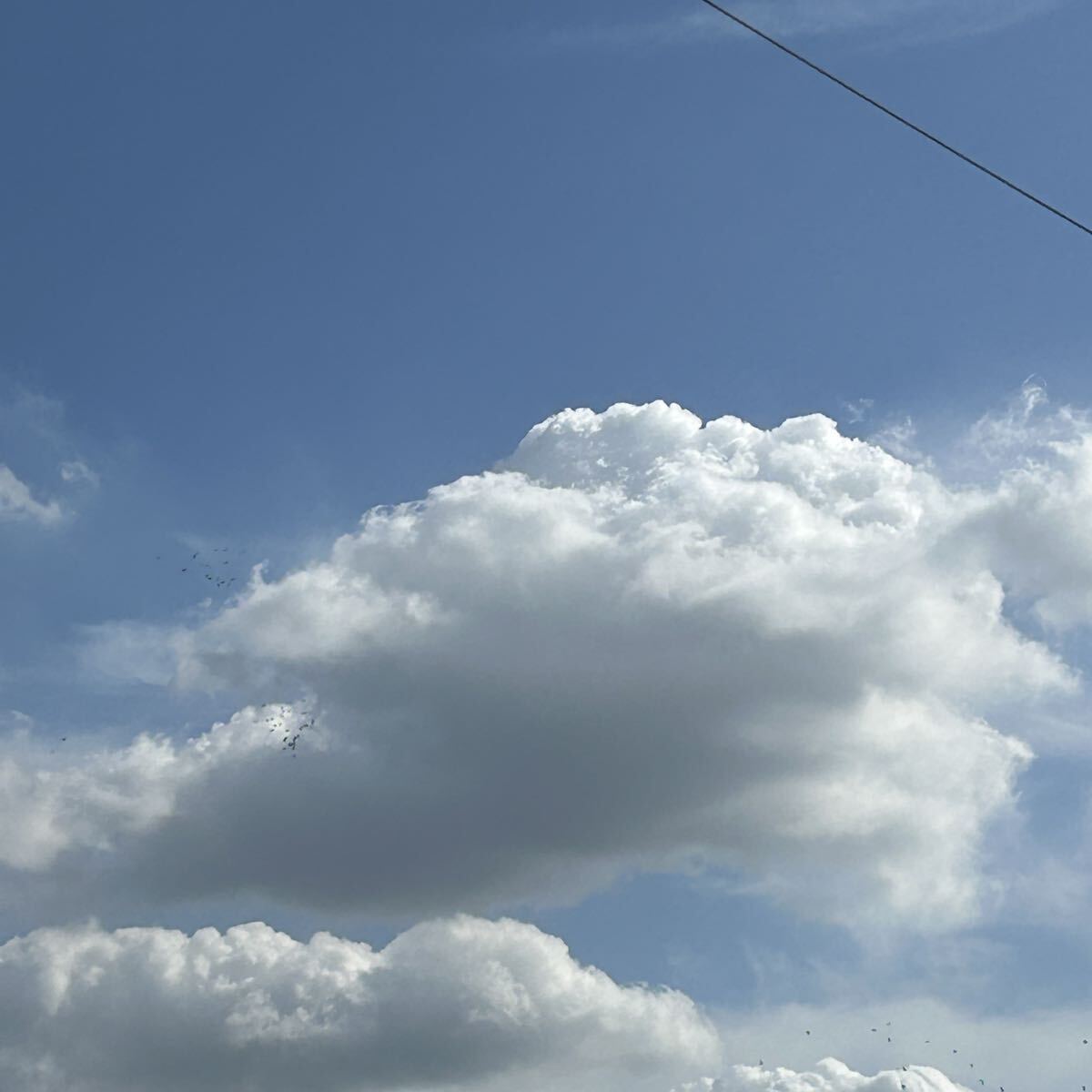 フリー素材 画像 秋の空 天気が変わる前触れ 季節の変わり目を視認させる雲の動き 送料無料拍卖